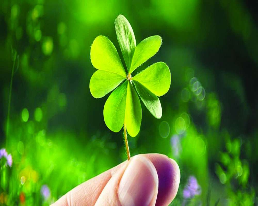 Discover the Magical Abilities of a Four Leaf Clover