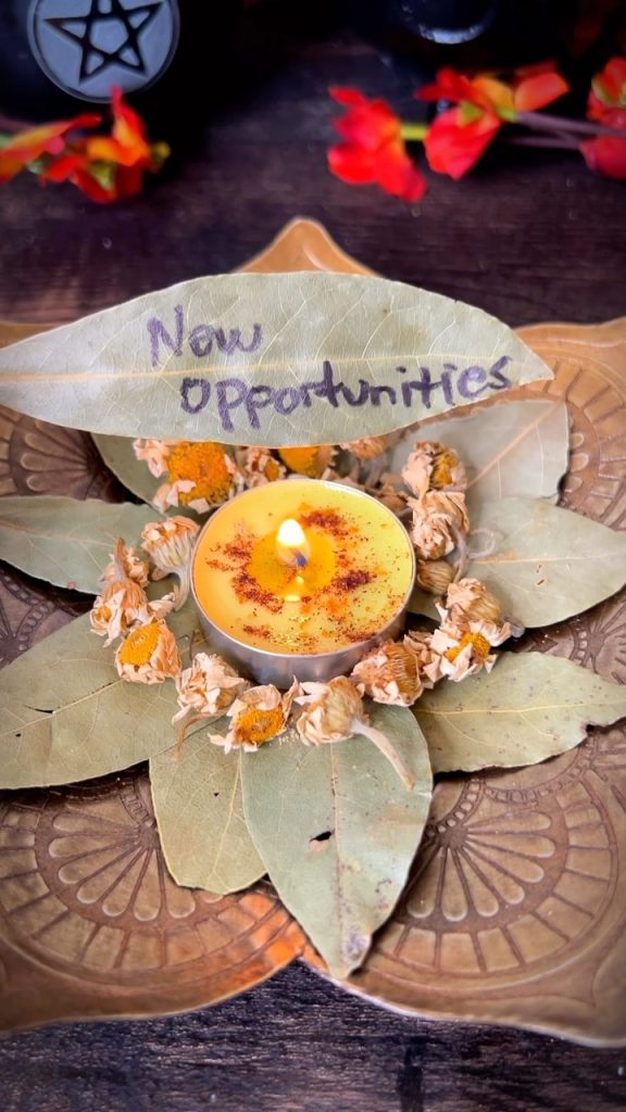 8 Money Attraction Spells To Manifest Wealth, Prosperity, and Abundance