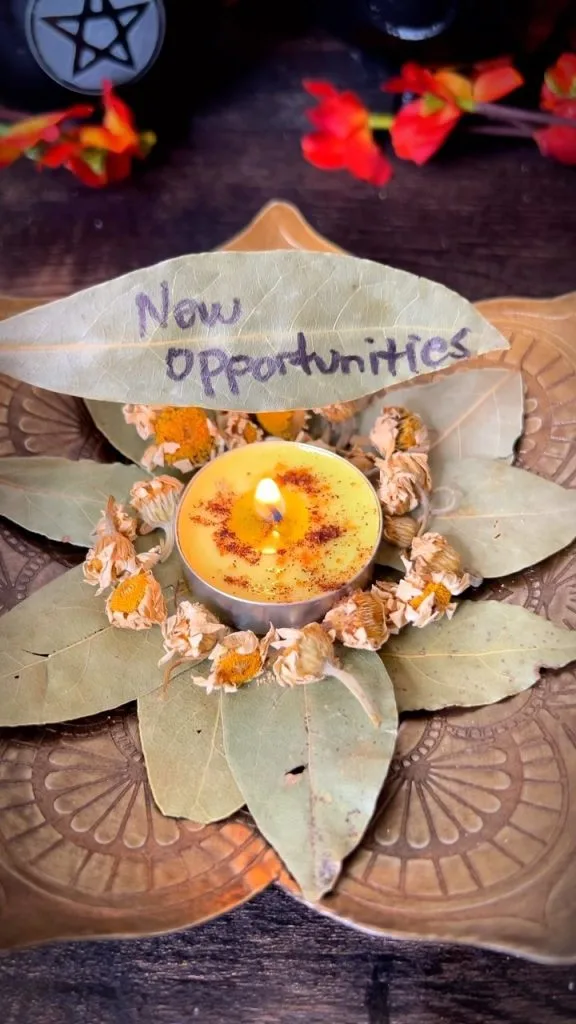 8 Money Attraction Spells To Manifest Wealth, Prosperity, and Abundance