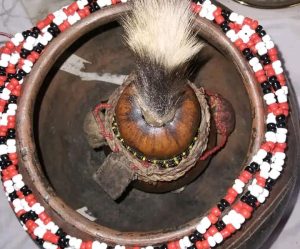 Abundance Pouch: Attract Prosperity and Well-Being 2025 Abundance Pouch